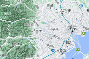 Google Maps(地形)